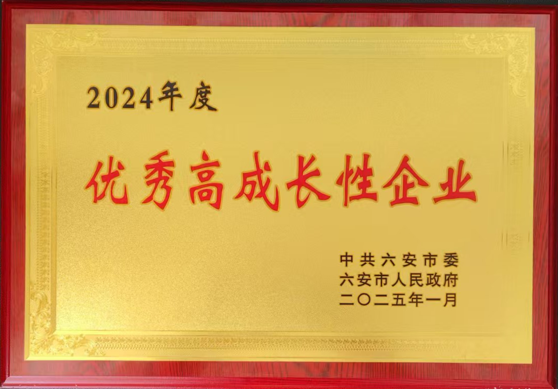 六安鑄造優秀高成長性企業.png